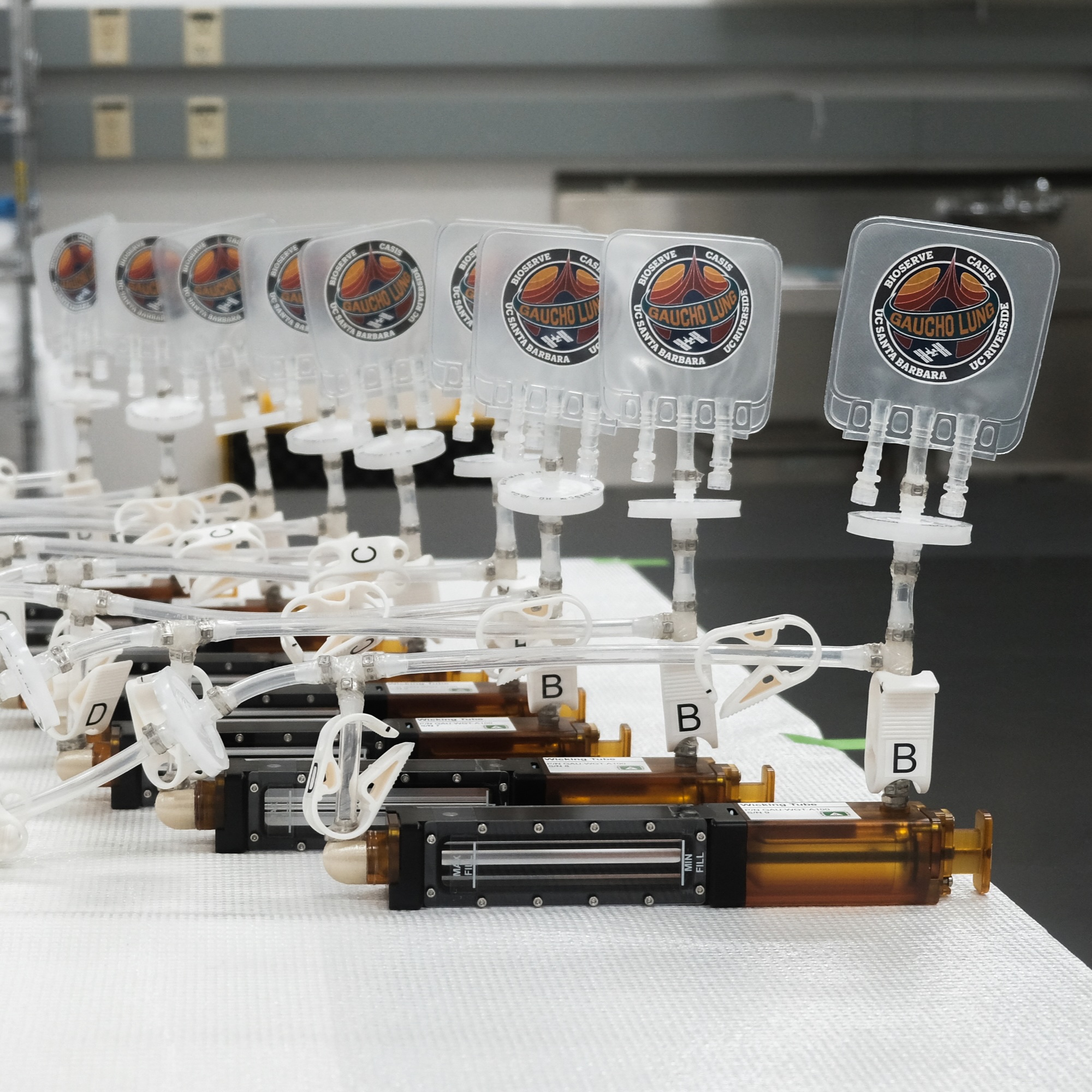 samples ready for ISS