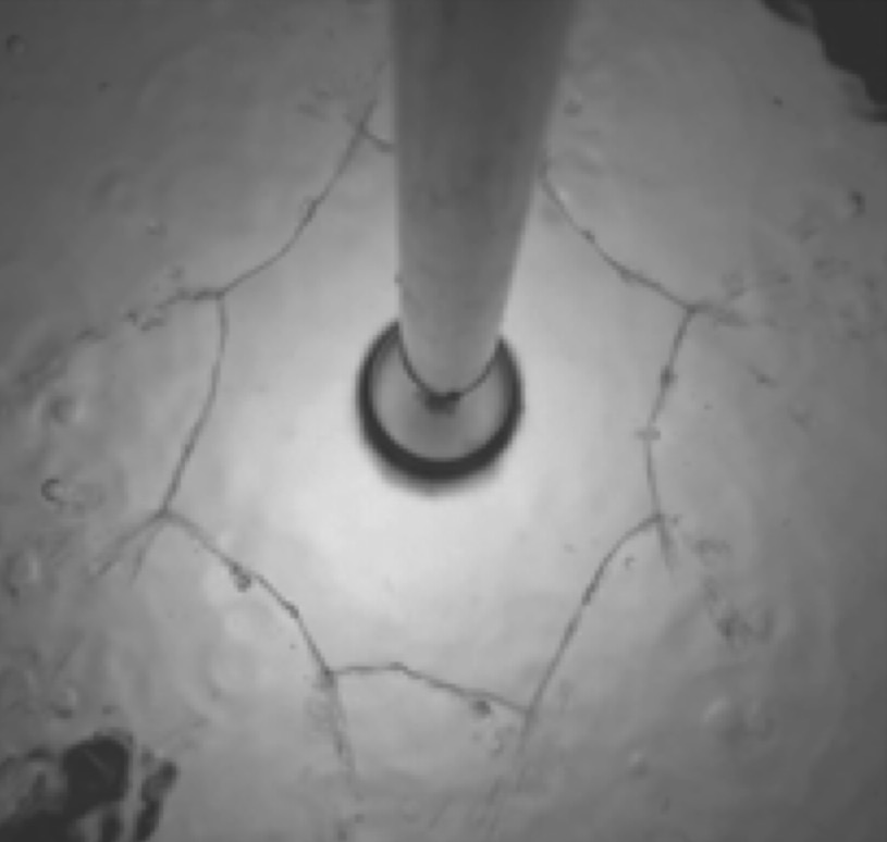 octogonal water bell