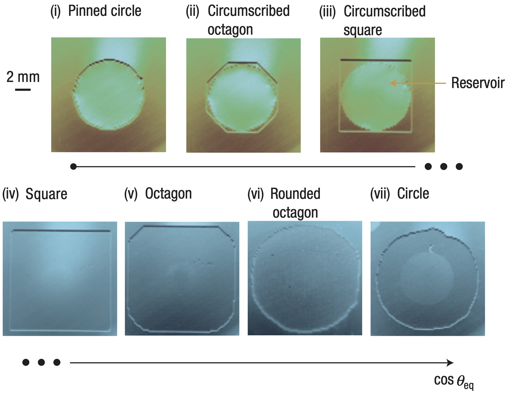 Different polygonal shapes of spreading drop