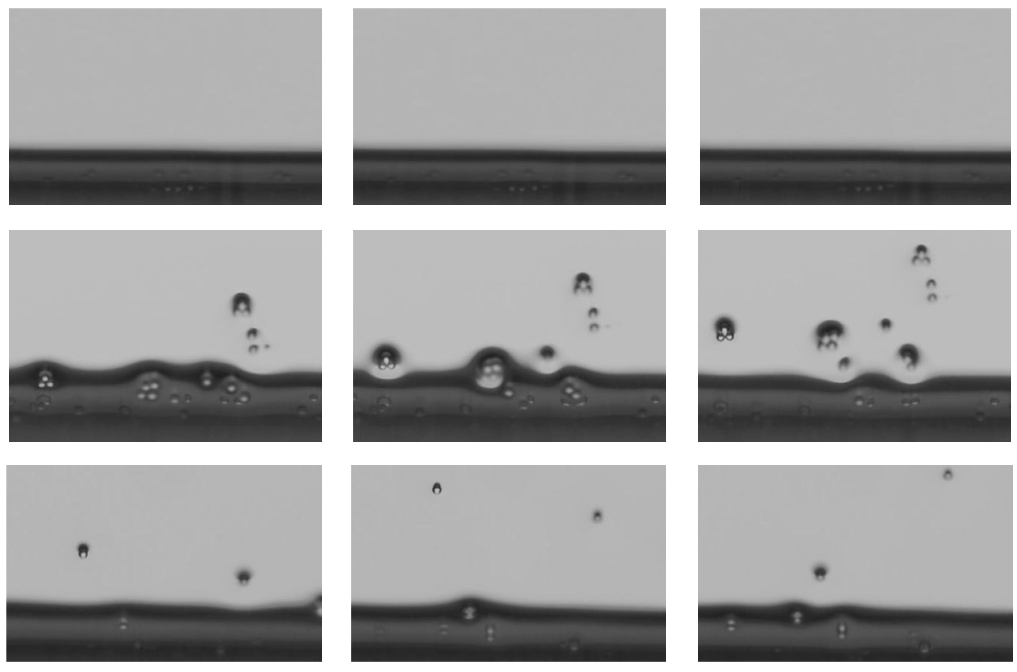 particle pulled from a bath on a clear plastic