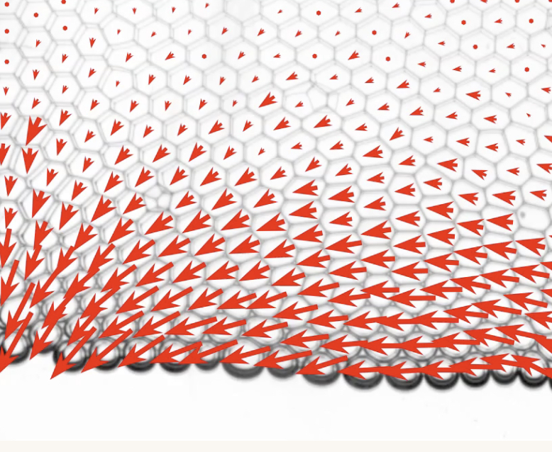 Bubbles at surfaces of liquid