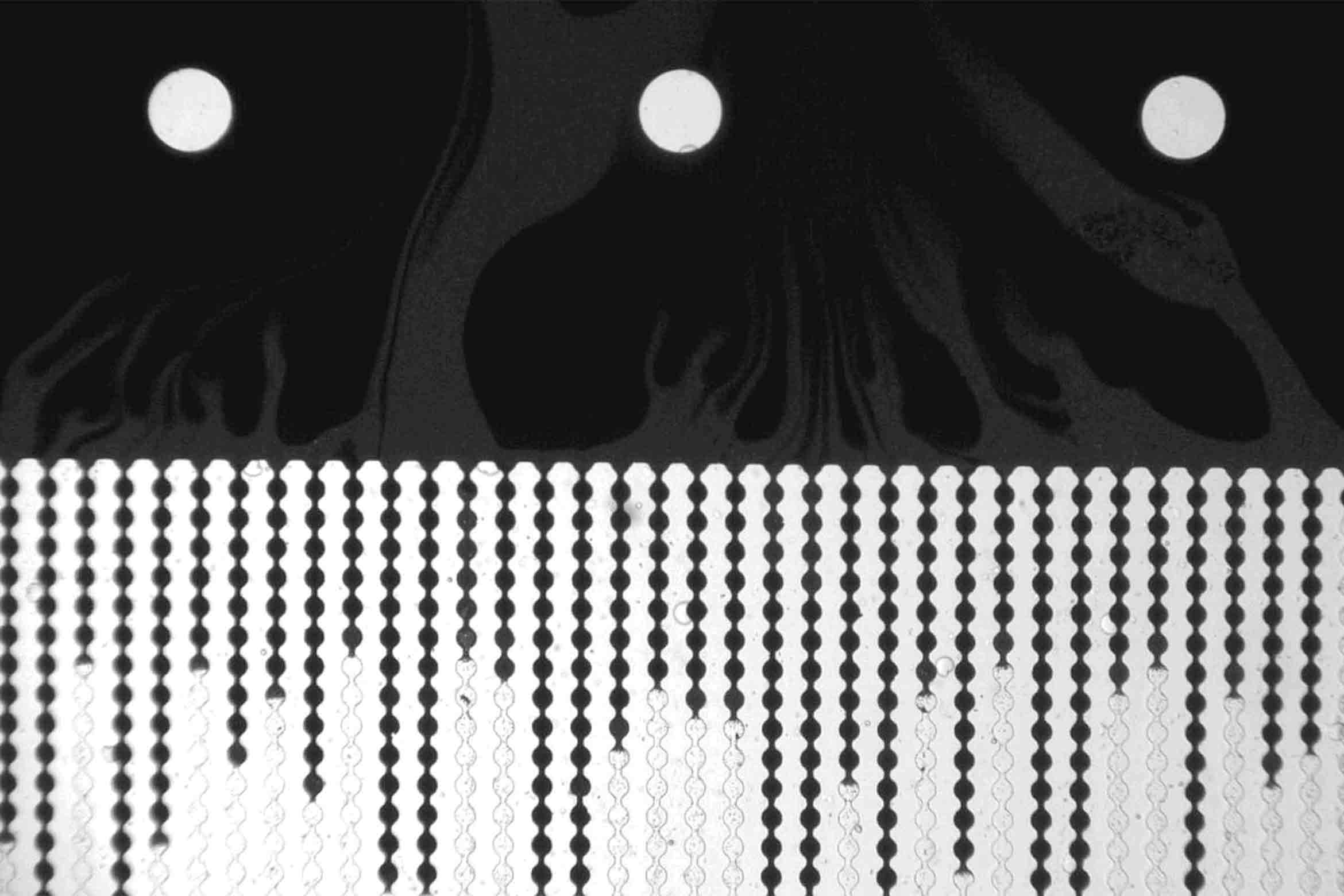 clogged microchannels